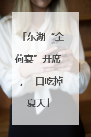 东湖“全荷宴”开席，一口吃掉夏天